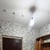 Продам однокомнатную (1-комн.) квартиру, Гражданский пр-кт, 106к4, Санкт-Петербург г