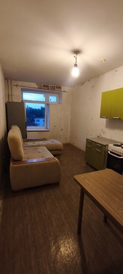 Продам однокомнатную (1-комн.) квартиру, Гражданский пр-кт, 106к4, Санкт-Петербург г