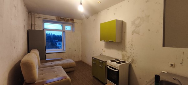 Продам однокомнатную (1-комн.) квартиру, Гражданский пр-кт, 106к4, Санкт-Петербург г