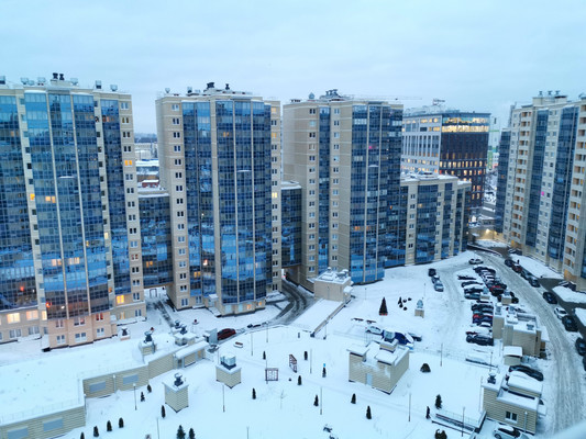 Сдам однокомнатную (1-комн.) квартиру, Заневский пр-кт, 42, Санкт-Петербург г