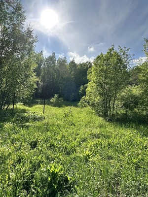 Продам участок 10 соток, Фермерское хоз., Нива тер. СНТ, 0 км от города