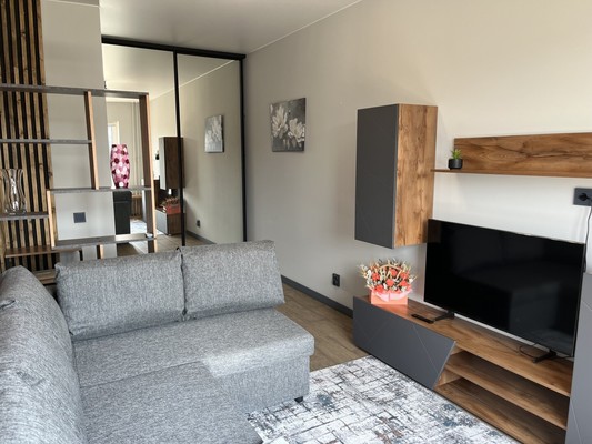 Продам однокомнатную (1-комн.) квартиру, Центральная ул, 20, Новоселье гп