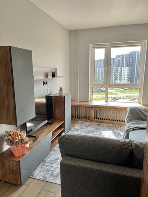 Продам однокомнатную (1-комн.) квартиру, Центральная ул, 20, Новоселье гп
