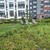 Продам однокомнатную (1-комн.) квартиру, Центральная ул, 20, Новоселье гп