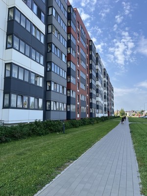Продам однокомнатную (1-комн.) квартиру, Центральная ул, 20, Новоселье гп