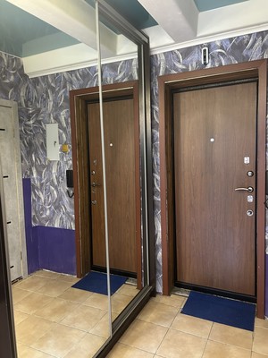 Продам однокомнатную (1-комн.) квартиру, Будапештская ул, 5к3, Санкт-Петербург г