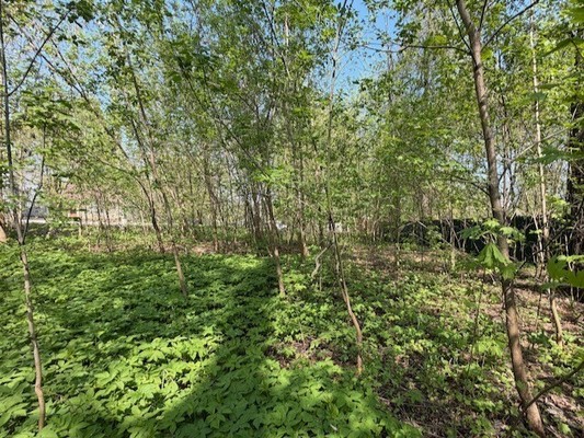 Продам участок 8,4 соток, ИЖС, Первомайская ул, Юрово д, 0 км от города
