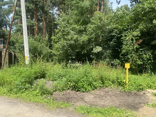 Продам участок 19 соток, ИЖС, Березовая ул, Литвиново д, 0 км от города
