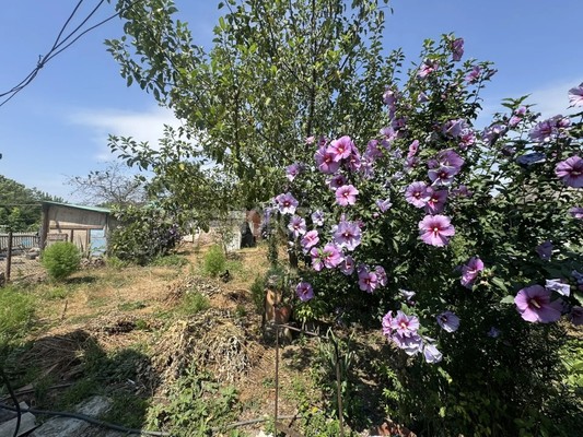 Продам двухкомнатную (2-комн.) квартиру, Заводская ул, 9, Петропавловская ст-ца