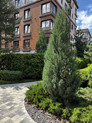 Продам однокомнатную (1-комн.) квартиру, Луговая ул, 20, Рогозинино д