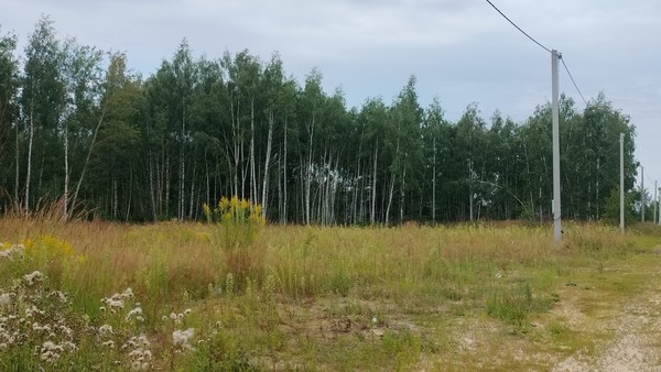Продам участок 17 соток, ИЖС, Новая ул, Дубровичи с, 0 км от города