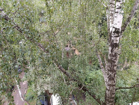 Сдам однокомнатную (1-комн.) квартиру, Комсомольская ул, 7А, Королев г