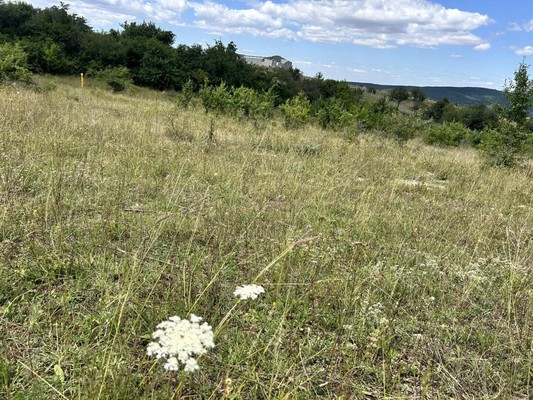 Продам участок 7,5 соток, ИЖС, им. Х. Фазыл ул, Пионерское с, 0 км от города
