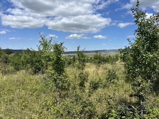 Продам участок 7,5 соток, ИЖС, им. Х. Фазыл ул, Пионерское с, 0 км от города