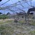 Продам участок 4 соток, Фермерское хоз., ОДС ул, Нальчик г, 0 км от города