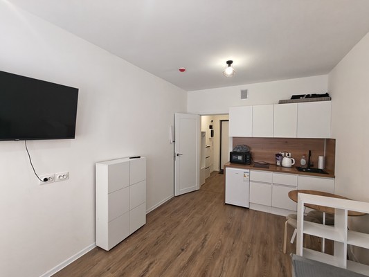 Сдам однокомнатную (1-комн.) квартиру, Пахомовская ул, 10к4, Санкт-Петербург г