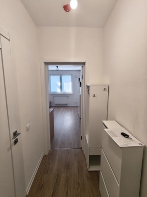 Сдам однокомнатную (1-комн.) квартиру, Пахомовская ул, 10к4, Санкт-Петербург г