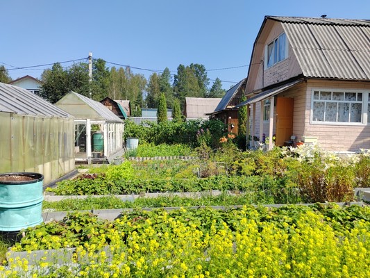 Продам дачу, БИС ул, Нижний Тагил г, 0 км от города