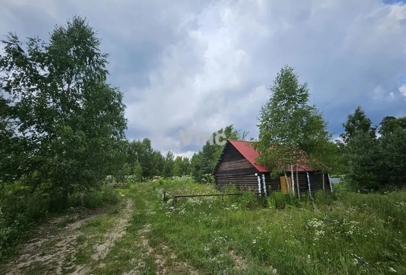 Продам участок 100 соток, ИЖС, Сосновая ул, 8, Левково с, 20 км от города
