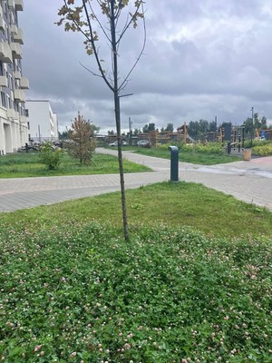 Продам двухкомнатную (2-комн.) квартиру, Лесная ул, 3, Коробово д