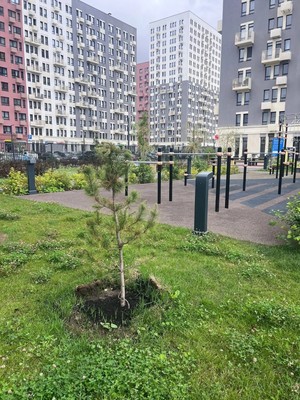 Продам двухкомнатную (2-комн.) квартиру, Лесная ул, 3, Коробово д