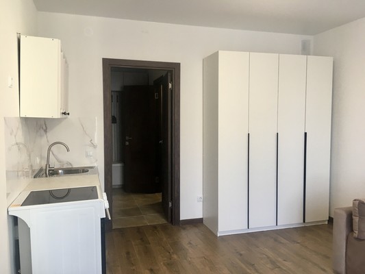 Сдам однокомнатную (1-комн.) квартиру, Старорусский пр-кт, 5к2, Шушары п