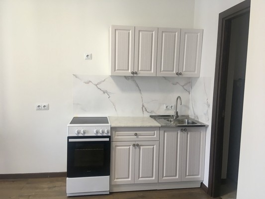 Сдам однокомнатную (1-комн.) квартиру, Старорусский пр-кт, 5к2, Шушары п