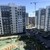 Сдам однокомнатную (1-комн.) квартиру, Старорусский пр-кт, 5к2, Шушары п