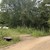 Продам участок 6,25 соток, Фермерское хоз., Лебединое тер. СНТ, 0 км от города