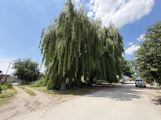 Продам участок 8 соток, ИЖС, Свободы ул, 58, Баксан г, 0 км от города