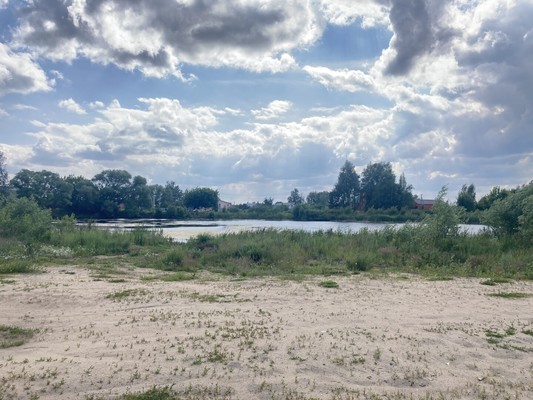 Продам участок 207 соток, ИЖС, Загорново с, 0 км от города