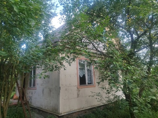 Продам дачу, Антоновка (Белые Столбы мкр.) тер. СНТ, 98, Домодедово г, 0 км от города