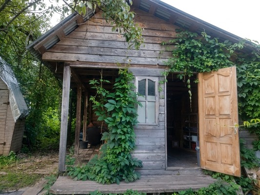 Продам дачу, Антоновка (Белые Столбы мкр.) тер. СНТ, 98, Домодедово г, 0 км от города