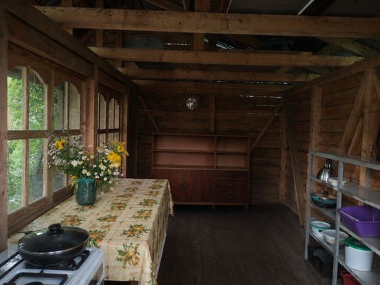 Продам дачу, Антоновка (Белые Столбы мкр.) тер. СНТ, 98, Домодедово г, 0 км от города