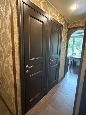 Продам трехкомнатную (3-комн.) квартиру, Турку ул, 20к1, Санкт-Петербург г