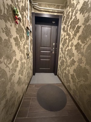 Продам трехкомнатную (3-комн.) квартиру, Турку ул, 20к1, Санкт-Петербург г