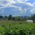 Продам дом, Горького ул, Ханты-Мансийск г, 0 км от города