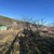 Продам участок 5,8 соток, Фермерское хоз., СПК Лотос тер, Лозовое с, 0 км от города