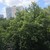 Продам однокомнатную (1-комн.) квартиру, 3-я Филевская ул, 30, Москва г