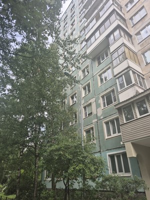 Продам трехкомнатную (3-комн.) квартиру, Художников пр-кт, 5Ак3, Санкт-Петербург г