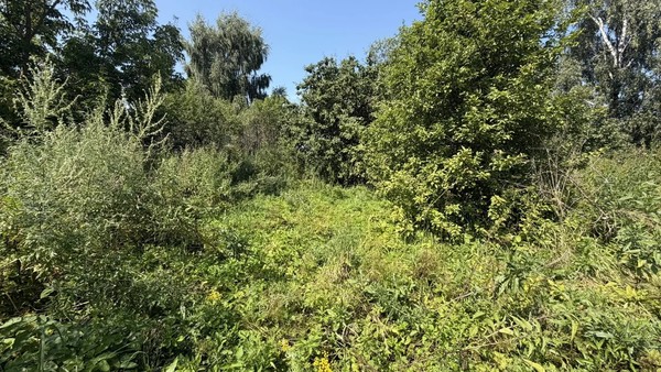 Продам участок 20 соток, ИЖС, Центральная ул, Назарьево д, 0 км от города