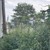 Сдам дачу, Лангового пер, 2, Новороссийск г, 0 км от города