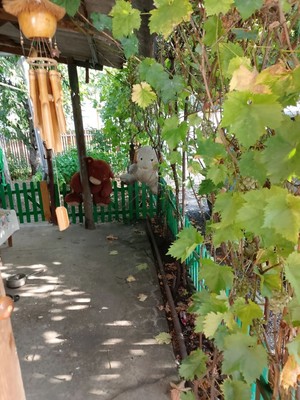 Продам дом, Дружбы ул, 17, Виноградный п, 0 км от города