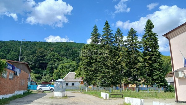 Продам дом, Новицкого ул, 111, Куринская ст-ца, 0 км от города