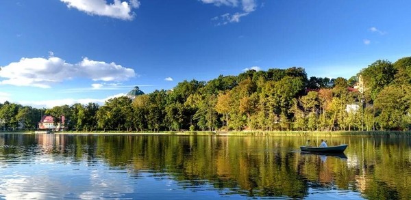 Продам ресторан 44,1 м2, Майский проезд, 3, Светлогорск г