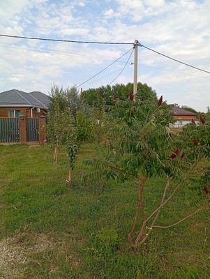 Продам дом, 113/5, Примаки с, 0 км от города