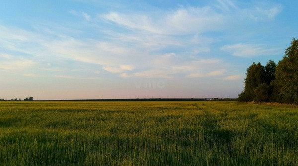 Продам участок 500 соток, ИЖС, Парковая ул, 3, Алексино д, 1 км от города