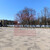 Продам коммерческое помещение 1 520,3 м2, Ленина ул, 5Б, Черняховск г