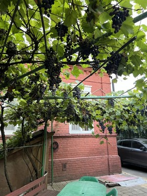 Продам дом, Дугинец ул, 70, Кропоткин г, 0 км от города
