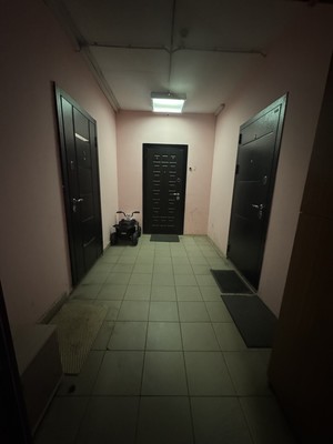 Продам однокомнатную (1-комн.) квартиру, Белокаменное ш, 4, Видное г